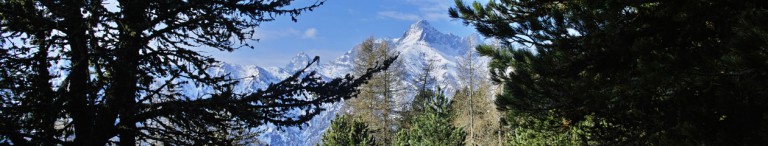 Bosco di Alevé e Pelvo d'Elva