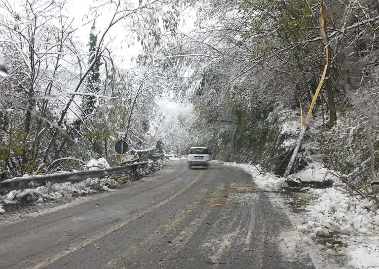 03/03/2024 – Chiusura strada provinciale Bagnolo – Montoso causa neve