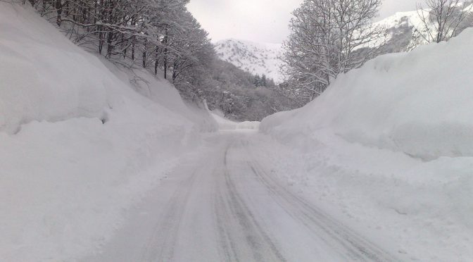 Precipitazione nevosa