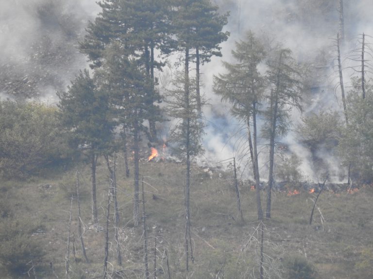La Regione Piemonte dichiara lo stato di emergenza per deficit idrico e incendi boschivi