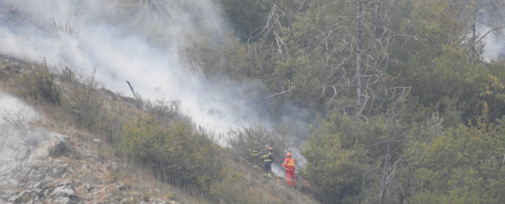 Incendio boschivo