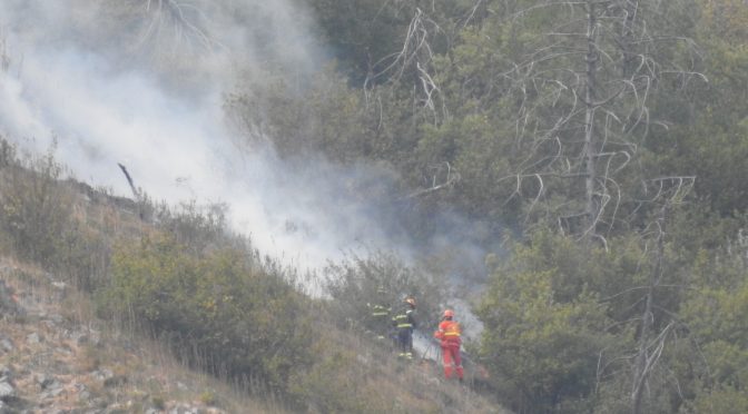 Incendio boschivo